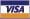 visa card